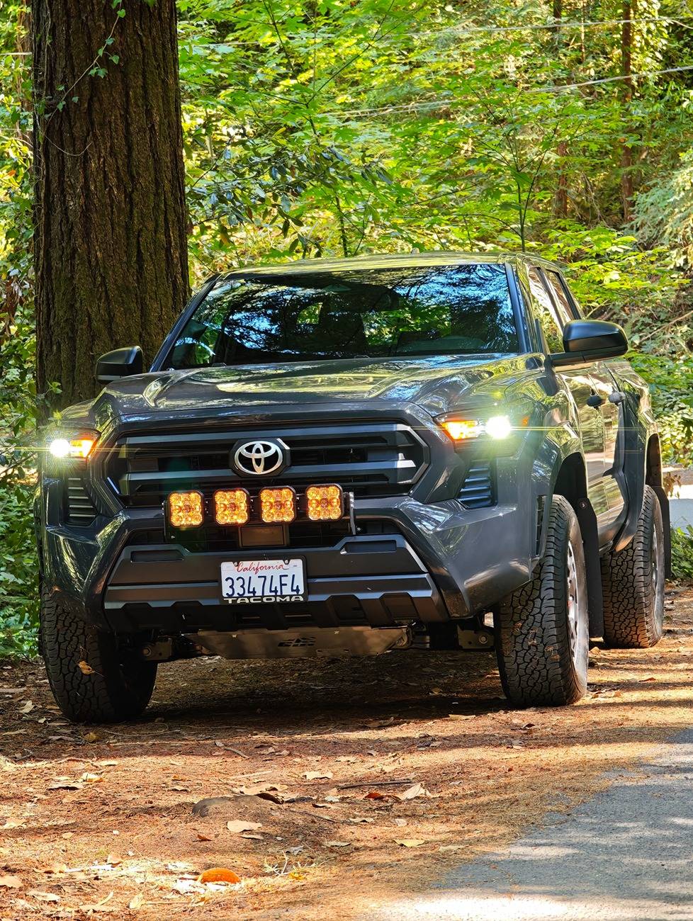 2024 Tacoma Random 2024 Tacoma 4th Gen Photos of the Day - Post Yours! ? ? 1000003903