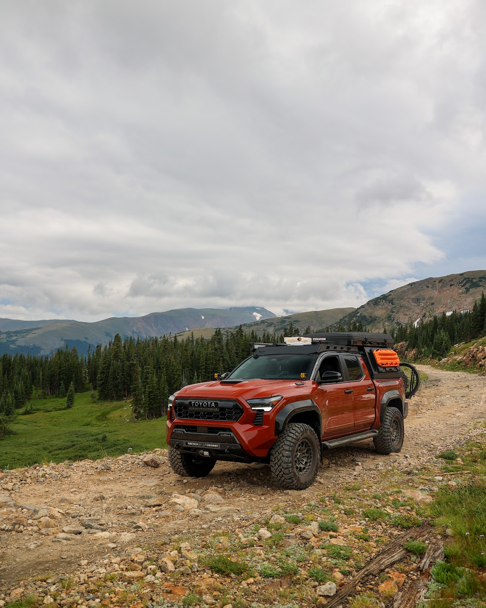 2024 Tacoma Old Man Emu Rear Lift Coils Springs (200 Series) installed on 4G Tacoma 1754322014044-uu