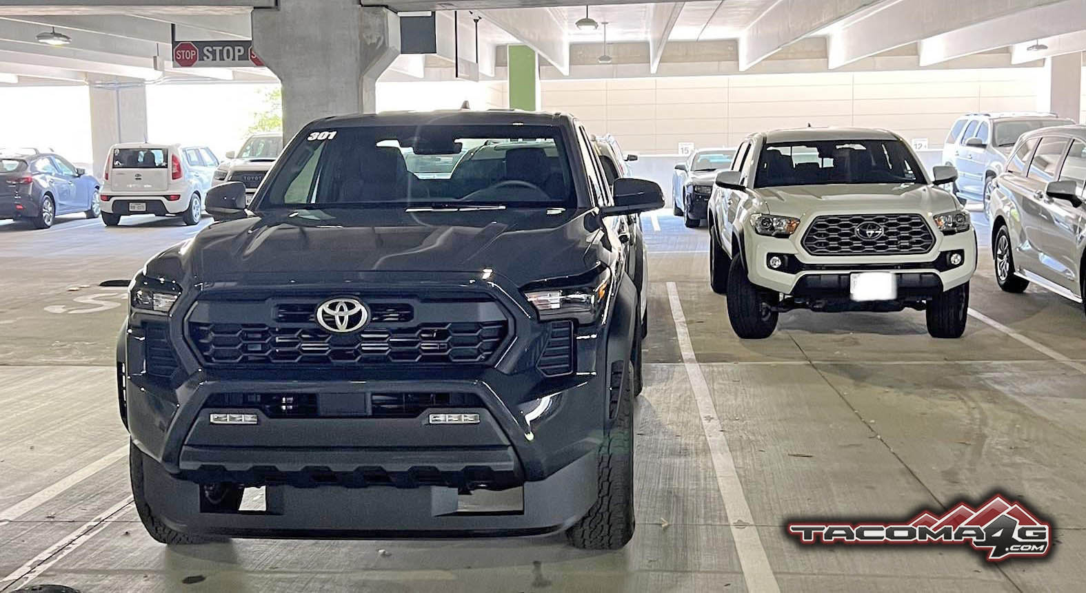 2024 Tacoma Spotted! PreRunner 2024 Tacoma first public sighting & vs 3rd gen! 2024 Tacoma Prerunner vs 3rd gen Tacoma 1