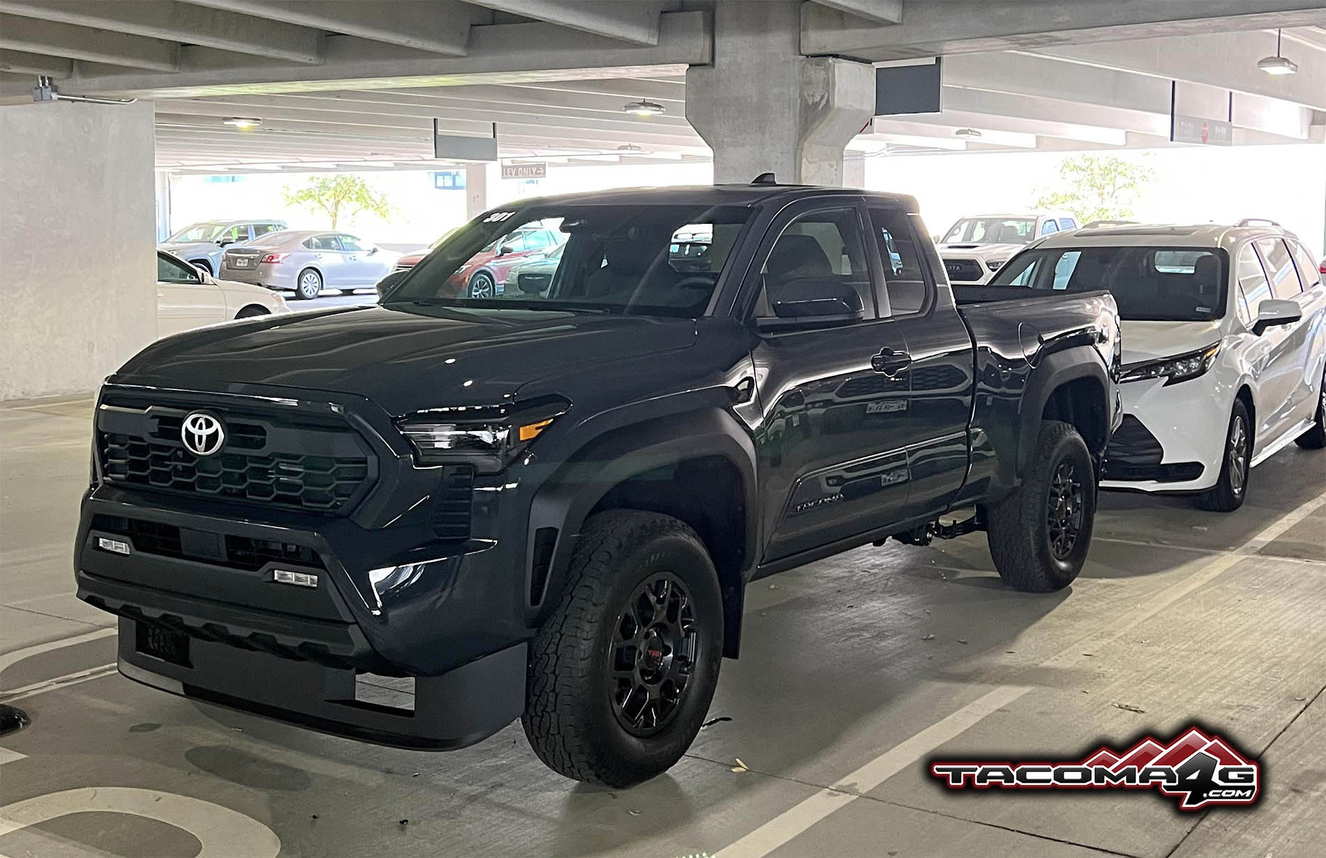 2024 Tacoma Spotted! PreRunner 2024 Tacoma first public sighting & vs 3rd gen! 2024 Tacoma Prerunner vs 3rd gen Tacoma
