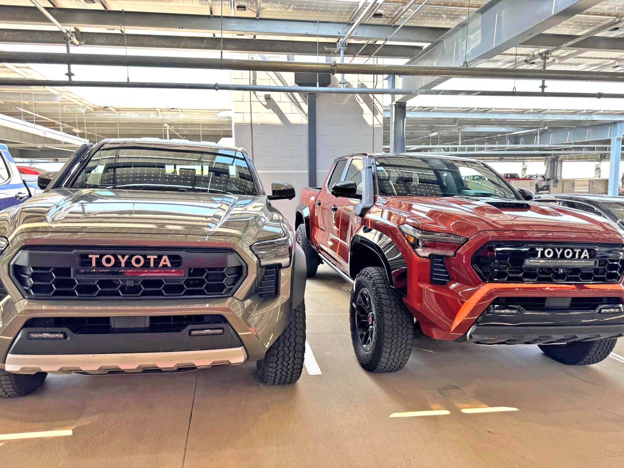 2024 Tacoma Official BRONZE OXIDE 2024 Tacoma Thread (4th Gen) 2024 tacoma terra trd pro bronze oxide trailhunter