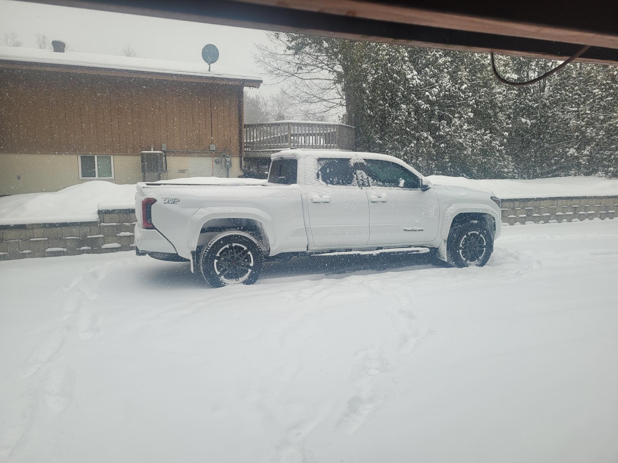 2024 Tacoma 1st impressions 2024 TRD Sport Premium Canadian Spec Windchill Pearl 20240215_132406