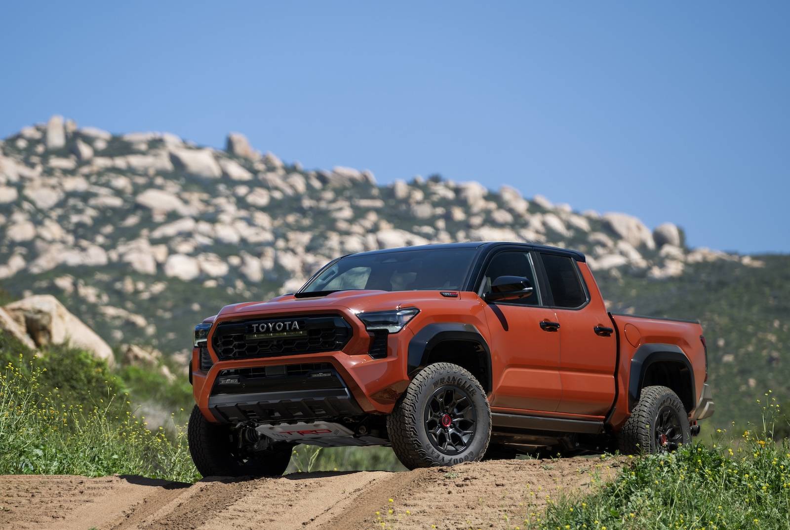 2024 Tacoma Official TERRA 2024 Tacoma Thread (4th Gen) 2024_Toyota_Tacoma_TRD Pro_Terra_001