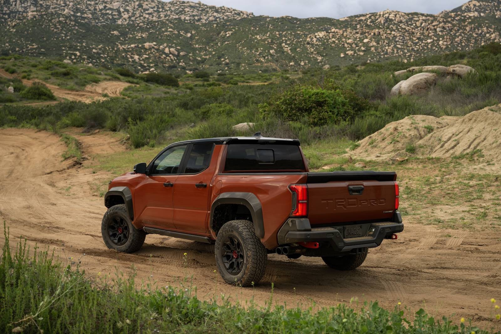 2024 Tacoma TERRA 2024 Tacoma Thread (4th Gen) 2024_Toyota_Tacoma_TRD Pro_Terra_002