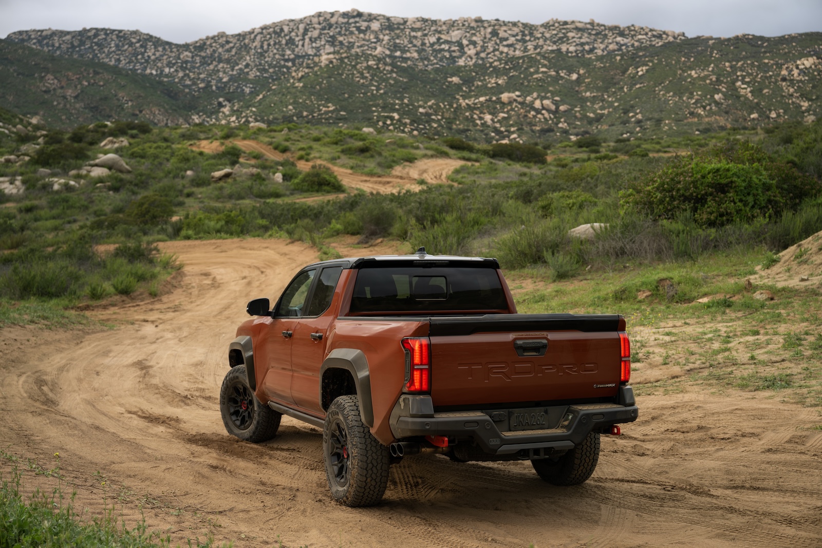 2024 Tacoma Official TERRA 2024 Tacoma Thread (4th Gen) 2024_Toyota_Tacoma_TRD Pro_Terra_003