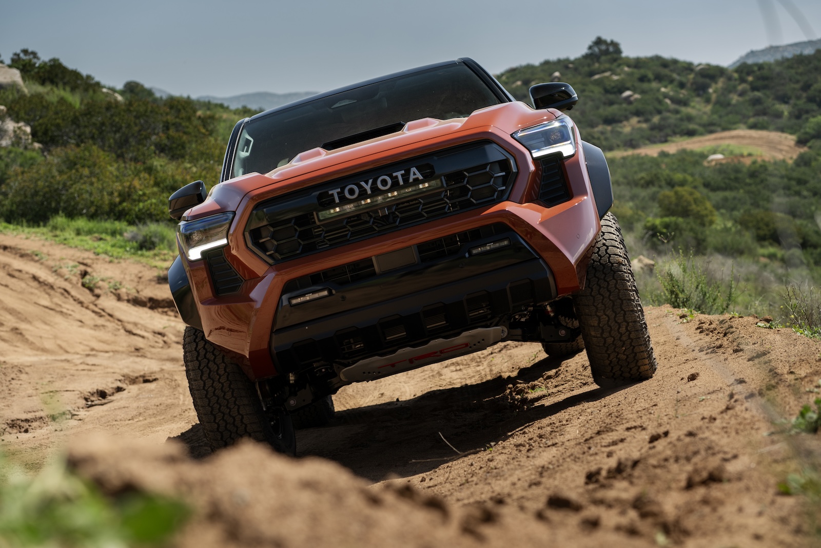 2024 Tacoma Official TERRA 2024 Tacoma Thread (4th Gen) 2024_Toyota_Tacoma_TRD Pro_Terra_009