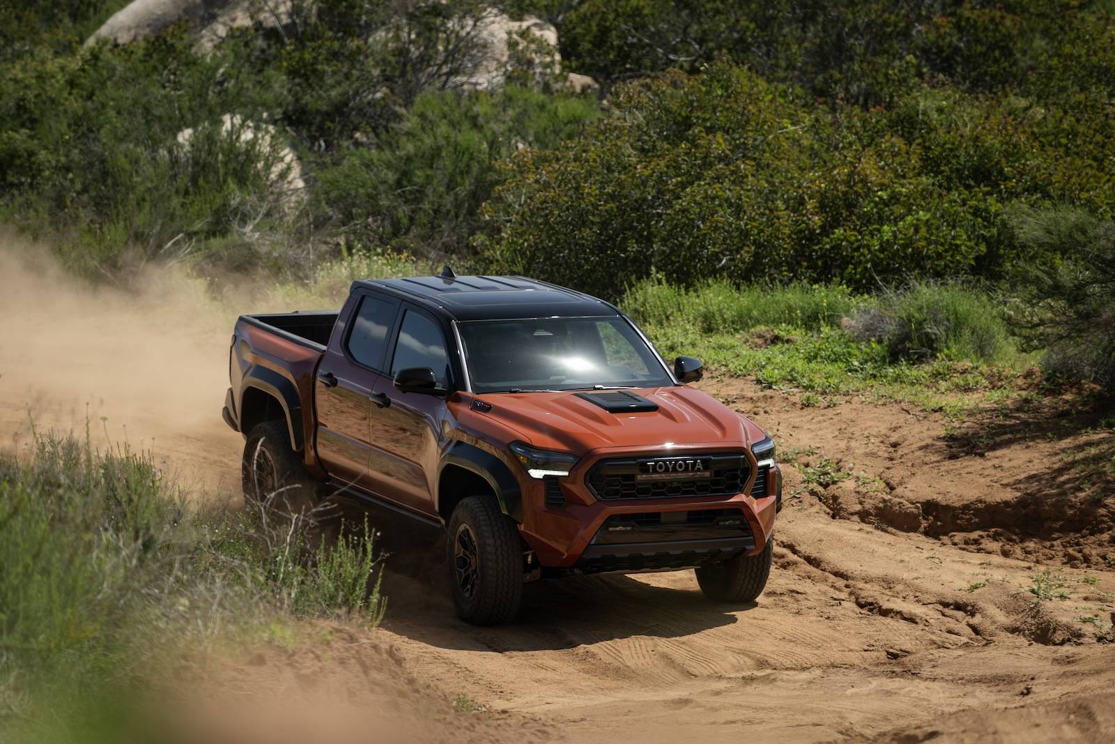 2024 Tacoma TERRA 2024 Tacoma Thread (4th Gen) 2024_Toyota_Tacoma_TRD Pro_Terra_210
