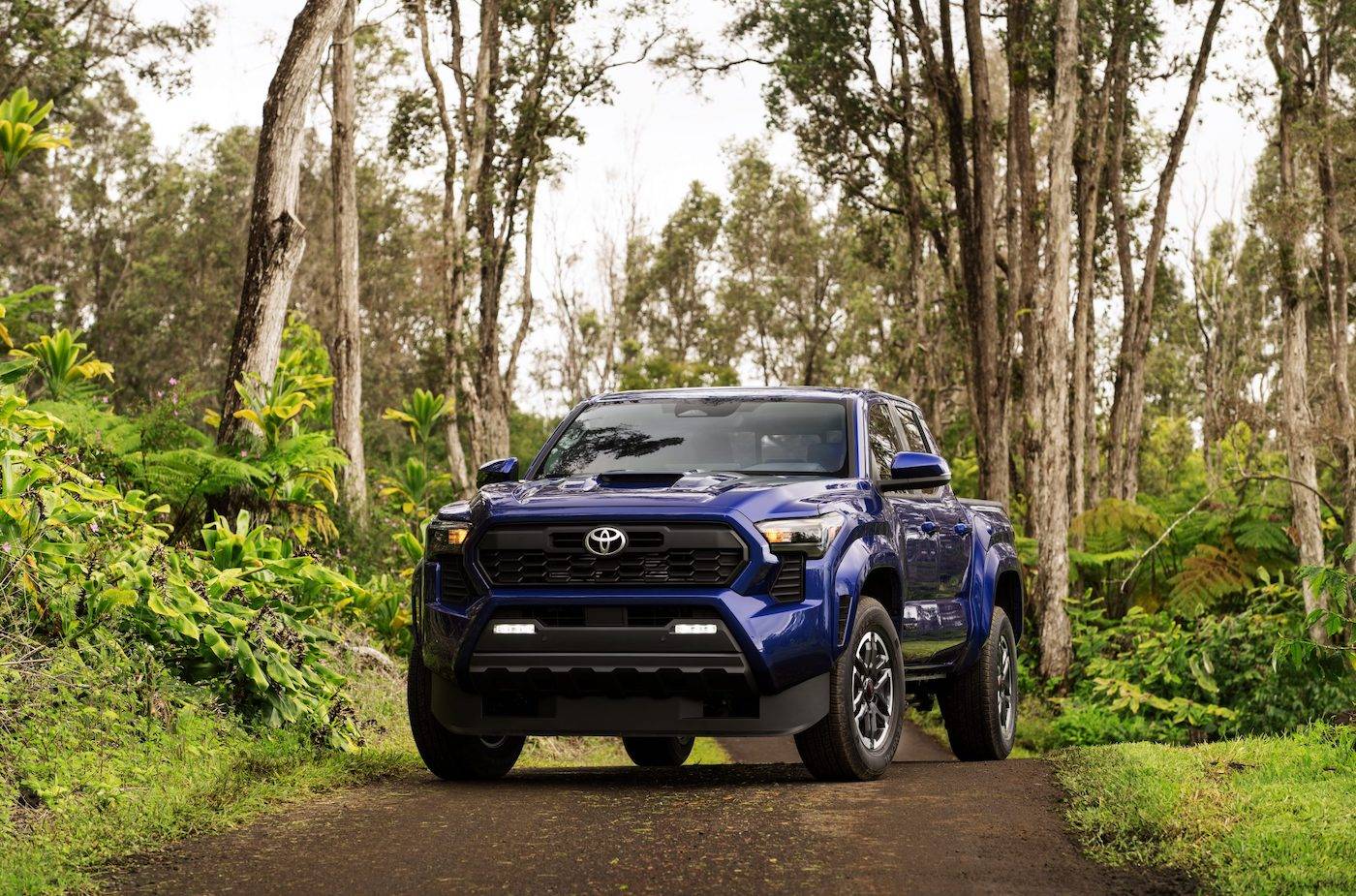2024 Tacoma 2024 Tacoma TRD Sport Photos (Exterior, Interior, 6MT Manual Transmission) 2024_Toyota_Tacoma_TRD_Sport_003-scaled