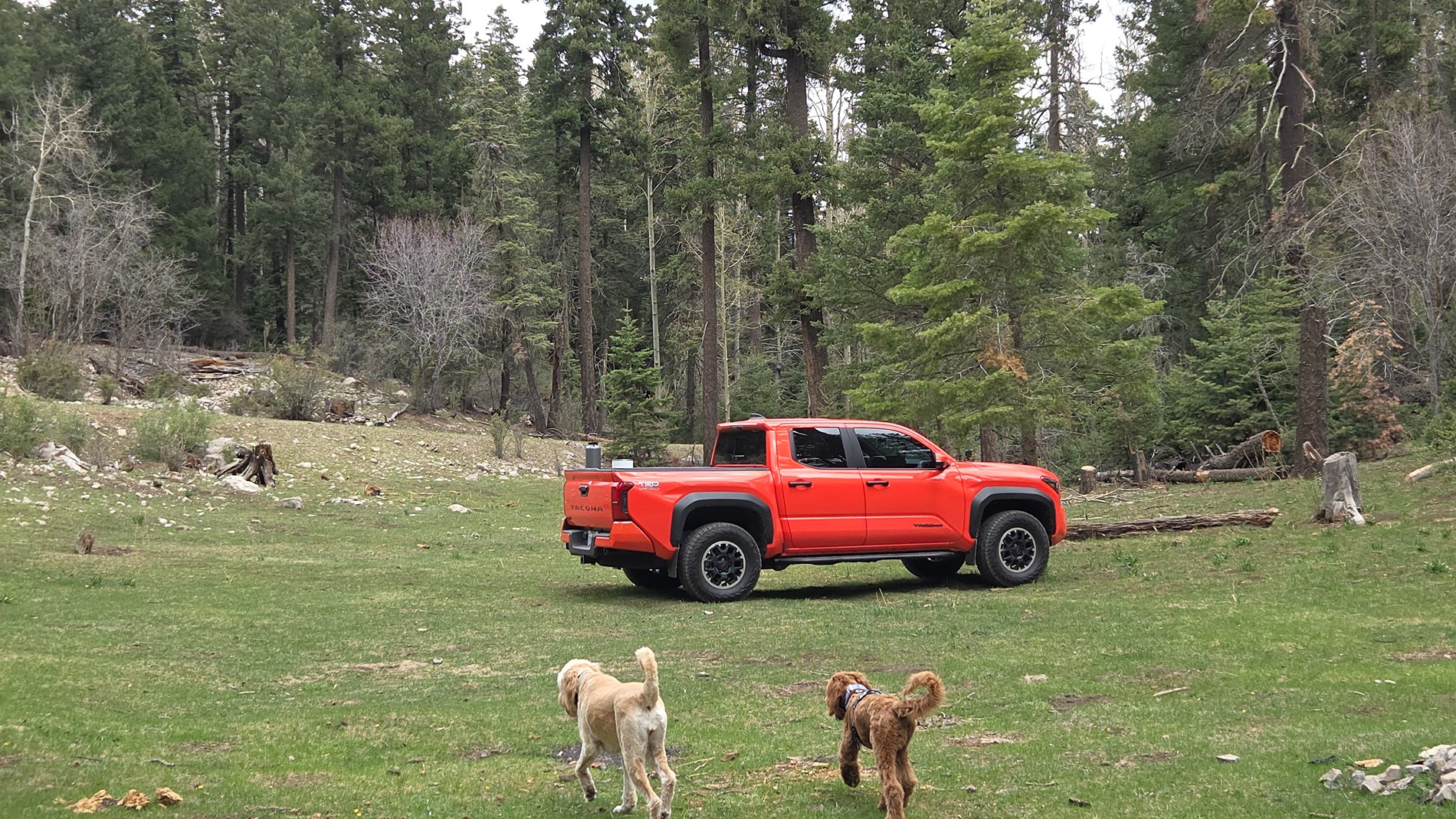 2024 Tacoma FREE Cali Raised LED Roof Rack Giveaway – Enter Now (No Purchase Required) 20250509_130116