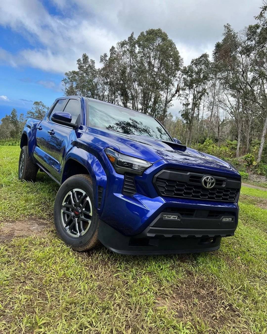 2024 Tacoma BLUE CRUSH 2024 Tacoma Thread (4th Gen) 347435642_638447428160247_7736954896677225453_n-jpg.583