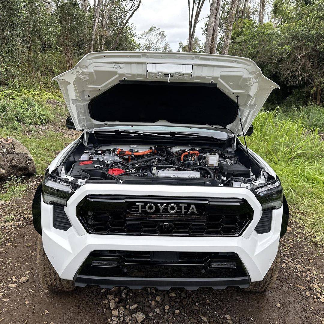 2024 Tacoma ICE CAP 2024 Tacoma Thread (4th Gen) 347575815_177775915233935_8765362409527729411_n