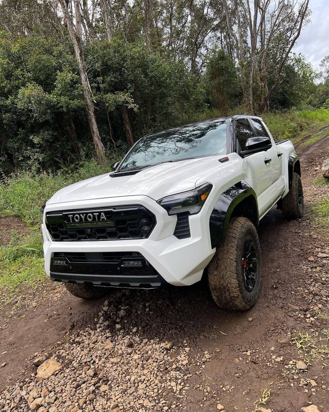2024 Tacoma ICE CAP 2024 Tacoma Thread (4th Gen) 347805786_6202021623221923_7751426932885291643_n-jpg.586 2
