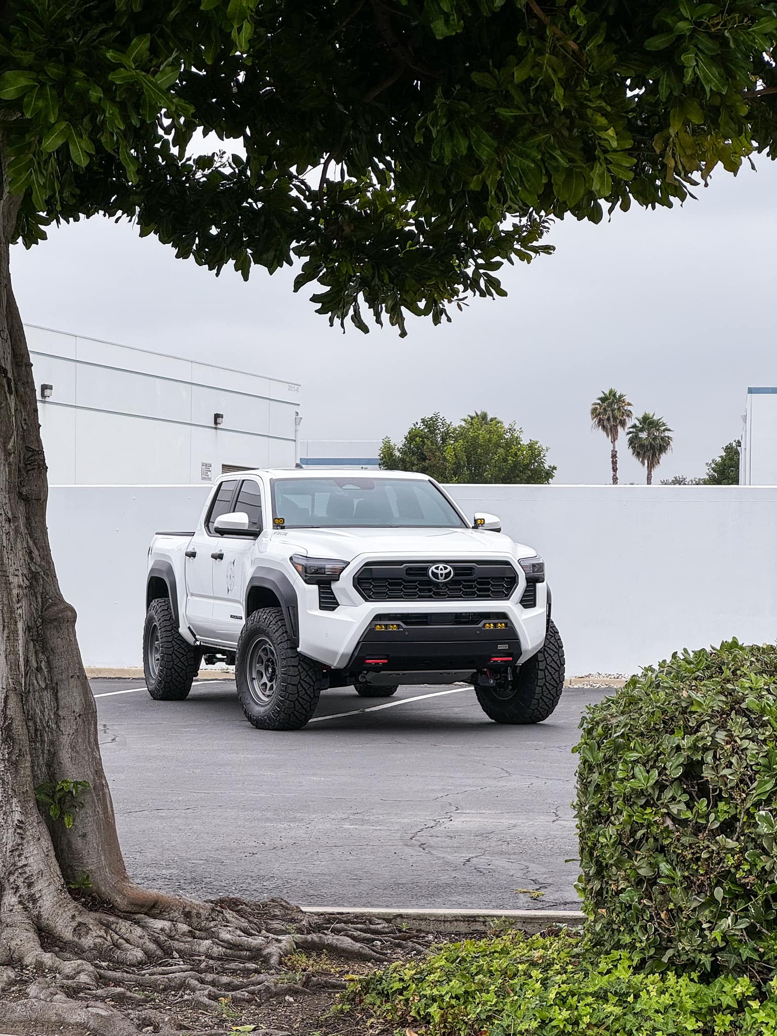 2024 Tacoma NYTOP's 2024 Tacoma build on Fittipaldi Offroad FT Series 17x8.5 0 offset wheels + Nitto Ridge Grappler 285/75/17 34" tires 425926396_7723482701098729_6031207336078179032_n