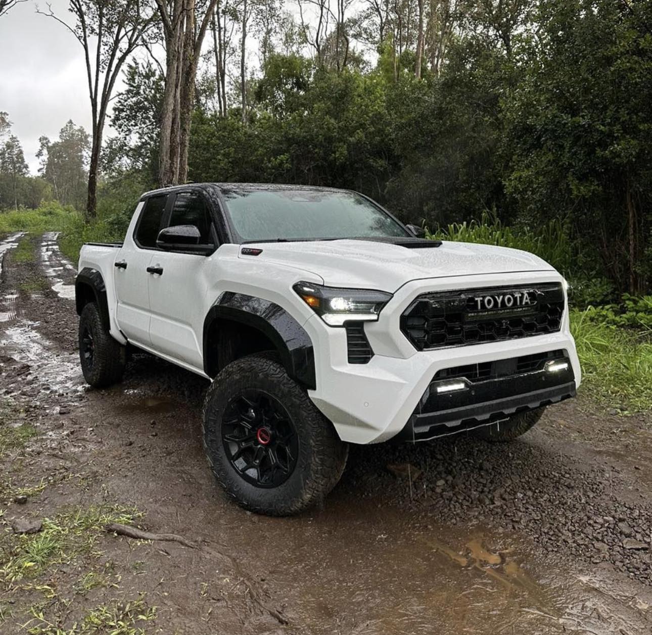 2024 Tacoma 2024 Tacoma TRD PRO - Specs, Price (TBA) Features, Photos & Videos 48234102_637569044506890_6344030011619109487_n-