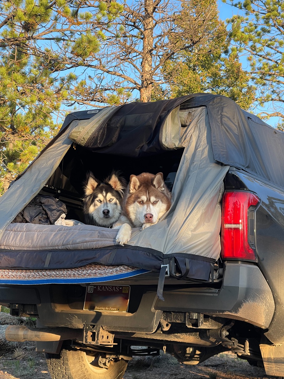 2024 Tacoma FREE Cali Raised LED Roof Rack Giveaway – Enter Now (No Purchase Required) CB96D032-66AA-4E8E-AB36-A76A07571E9F