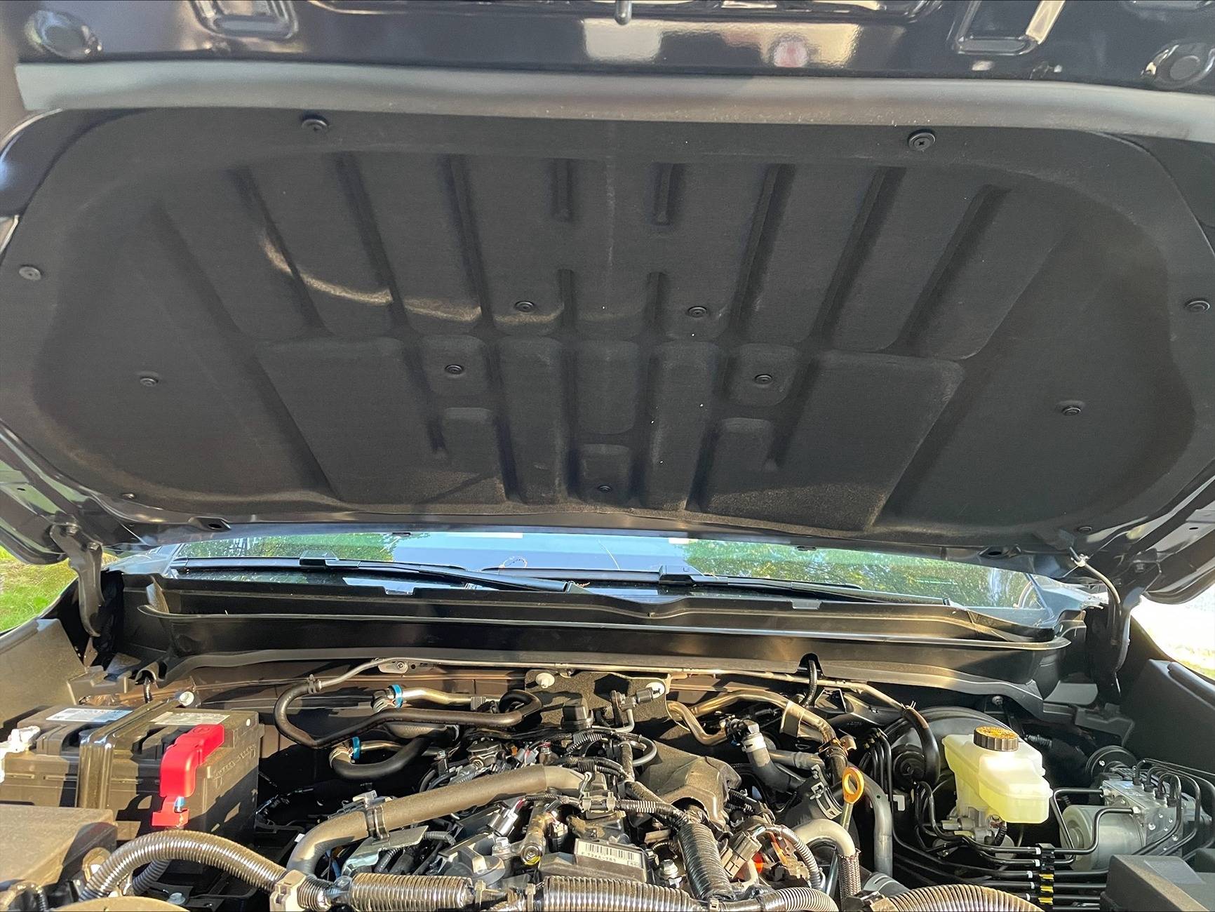hood liner.jpeg