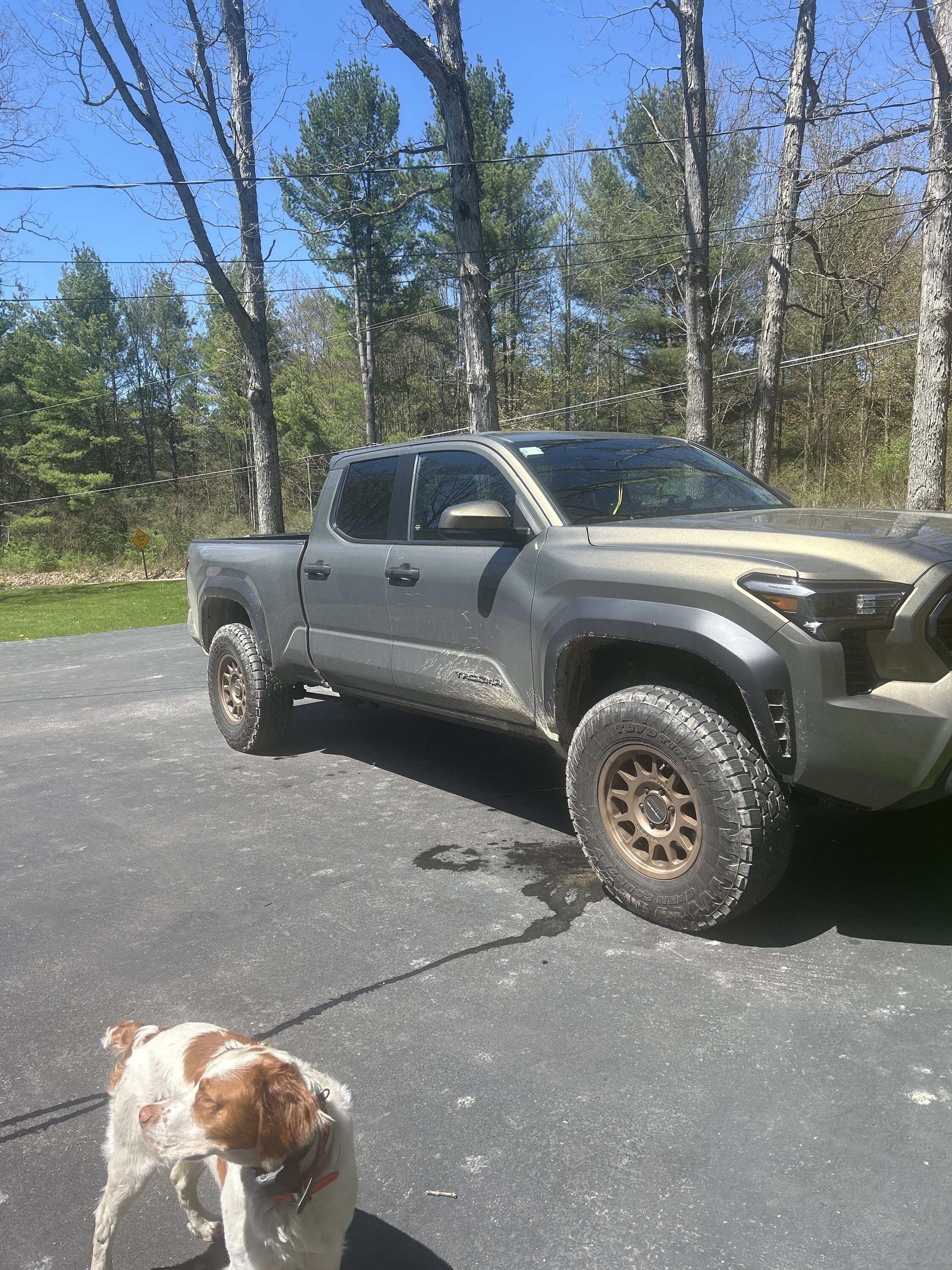 2024 Tacoma My 2024 TRD Off Road delivered (traded 2021 Bronco) image