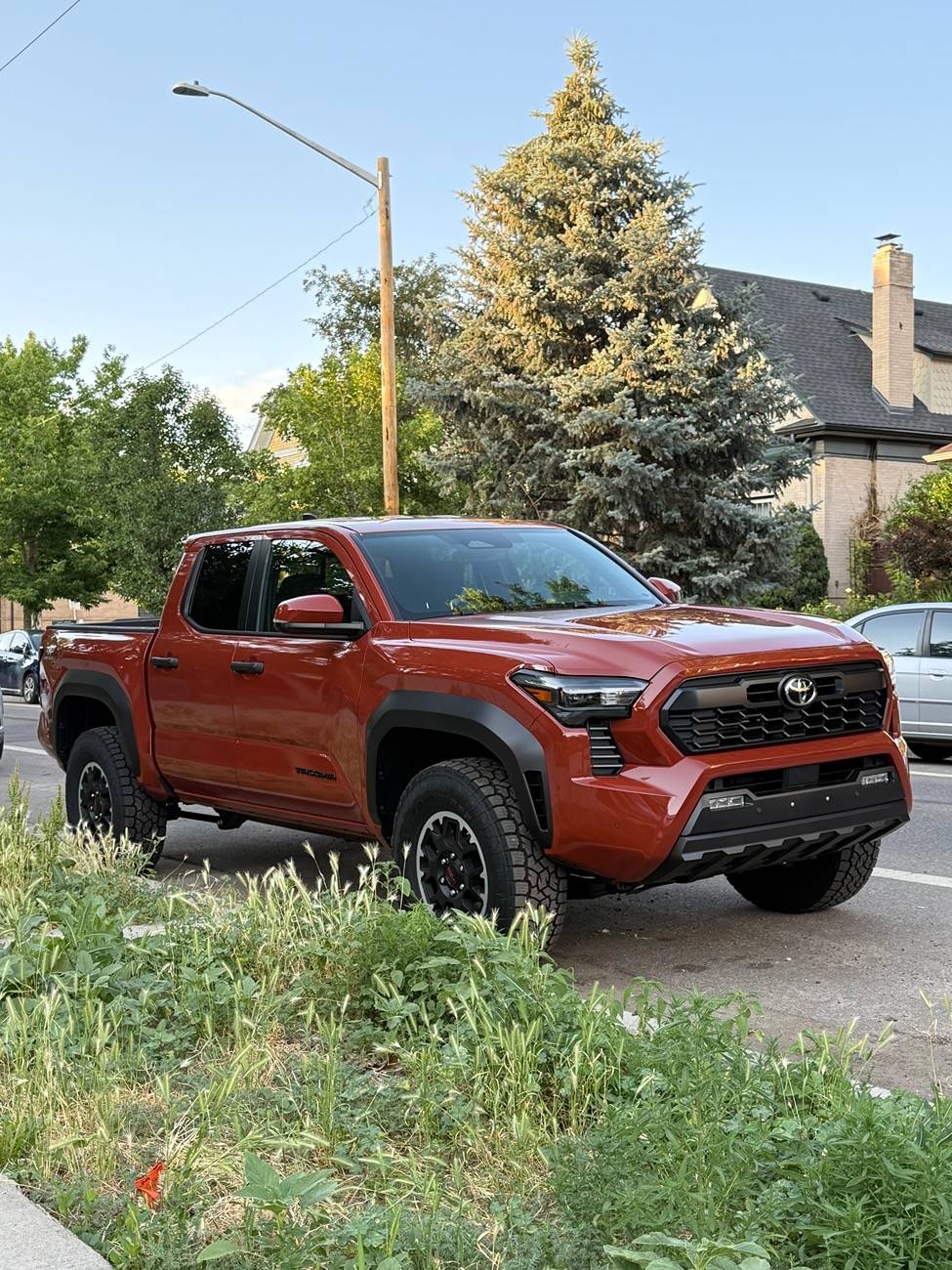 2024 Tacoma TERRA 2024 Tacoma Thread (4th Gen) IMG_0182