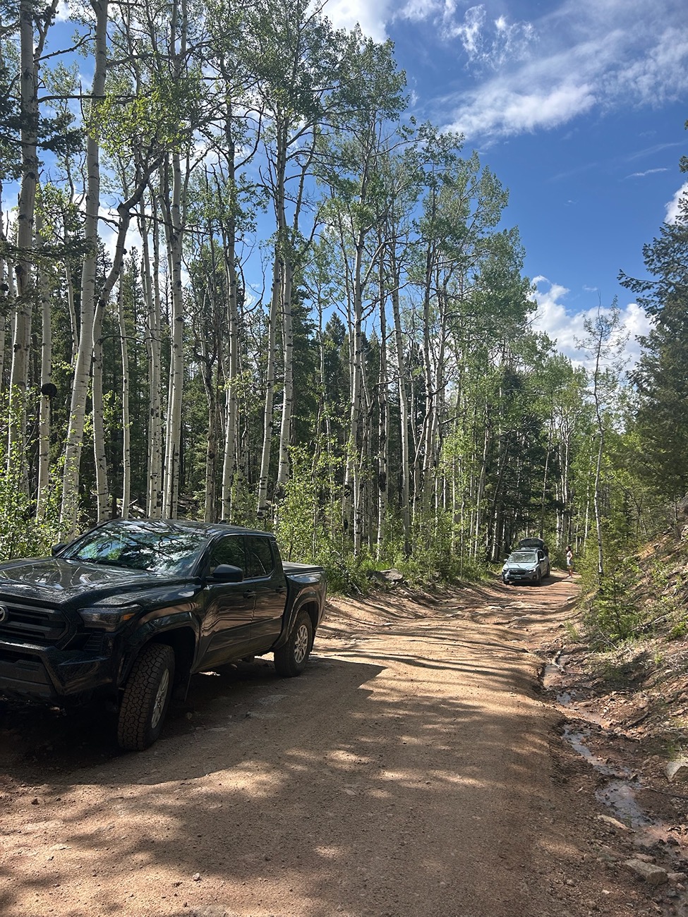 2024 Tacoma Rutsy's Terra Off Road with Pizza Cutters - Toyo Open Country 255/80/17 with Method 705 +35 in Titanium IMG_0348