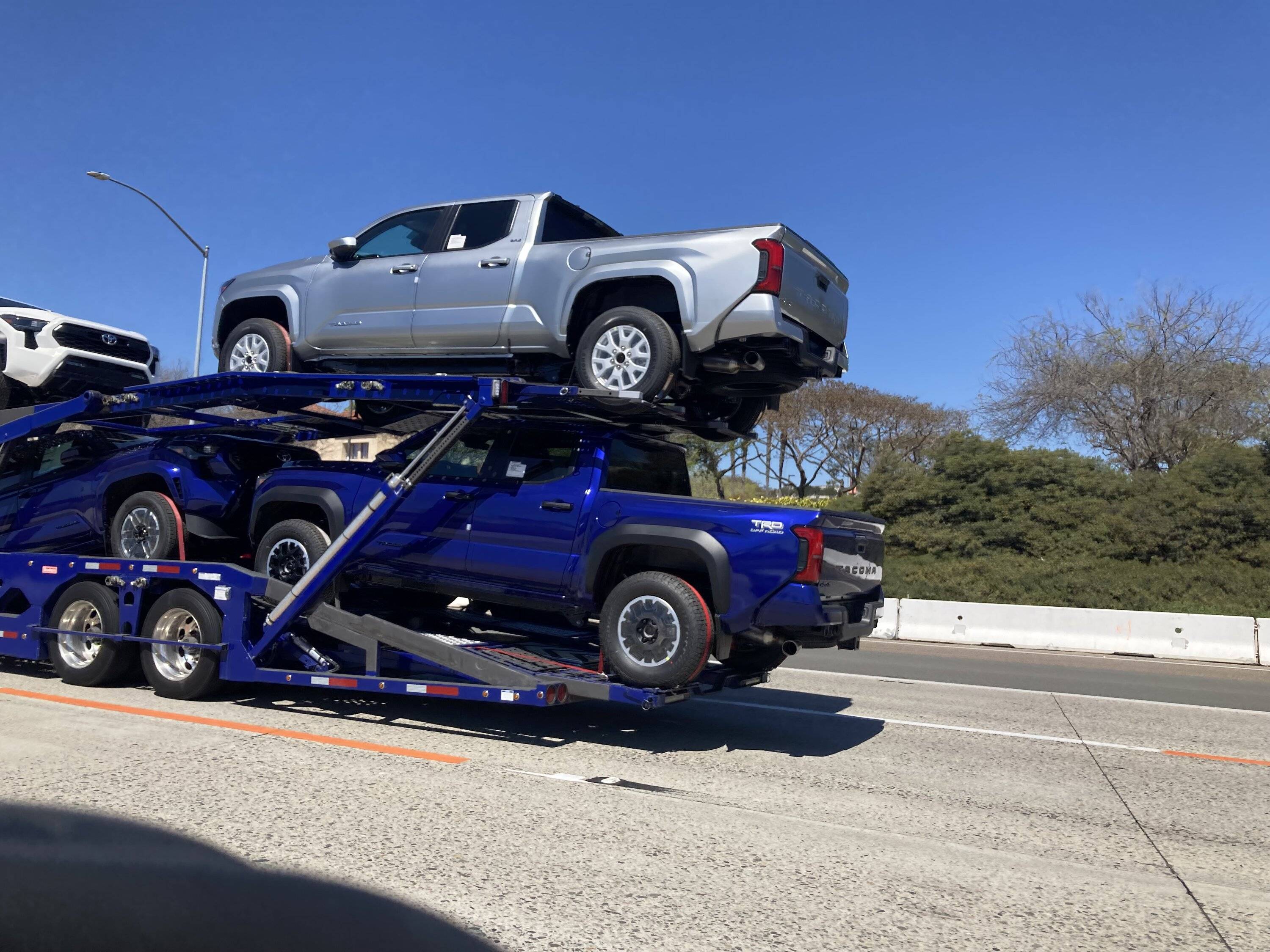 2024 Tacoma Official BLUE CRUSH 2024 Tacoma Thread (4th Gen) IMG_0799