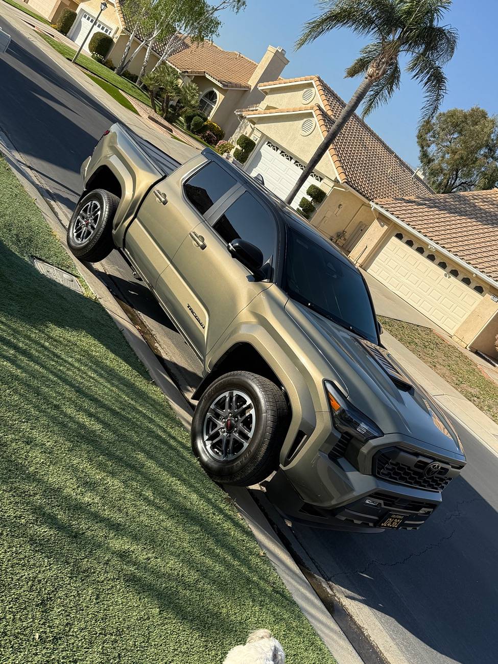 2024 Tacoma Anyone Wrapped the Cab Roof of a TRD Sport to Match the TRD Pro? IMG_1473