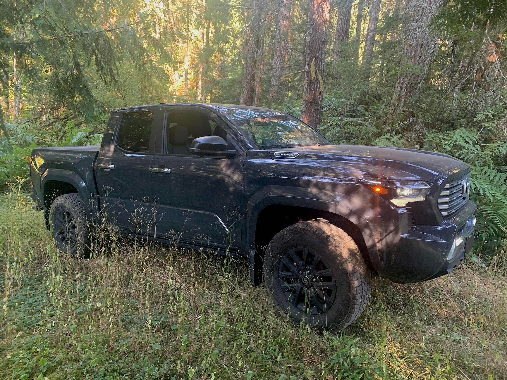 2024 Tacoma FREE Cali Raised LED Roof Rack Giveaway – Enter Now (No Purchase Required) IMG_2092