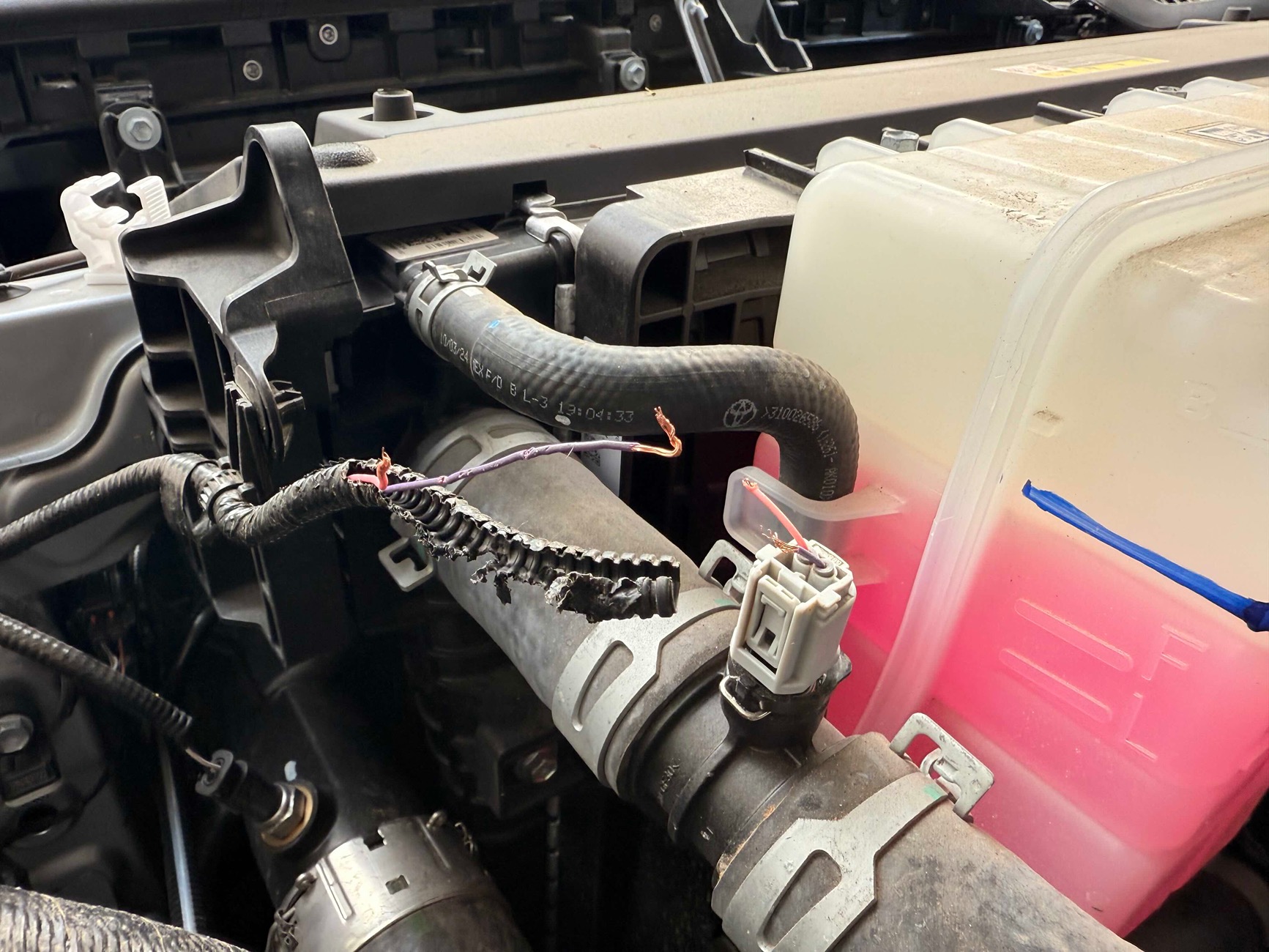 2024 Tacoma Looking for a 2024 Tacoma Coolant temperature plug / pigtail IMG_4159