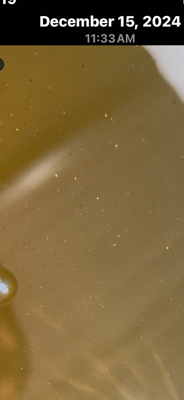 2024 Tacoma Metal flakes in oil IMG_4567