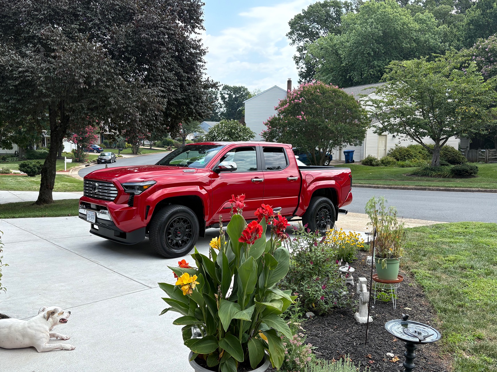 2024 Tacoma What did you do TO / WITH your 4th gen Tacoma today?! 👨‍🏭 🧰 📸 IMG_5762