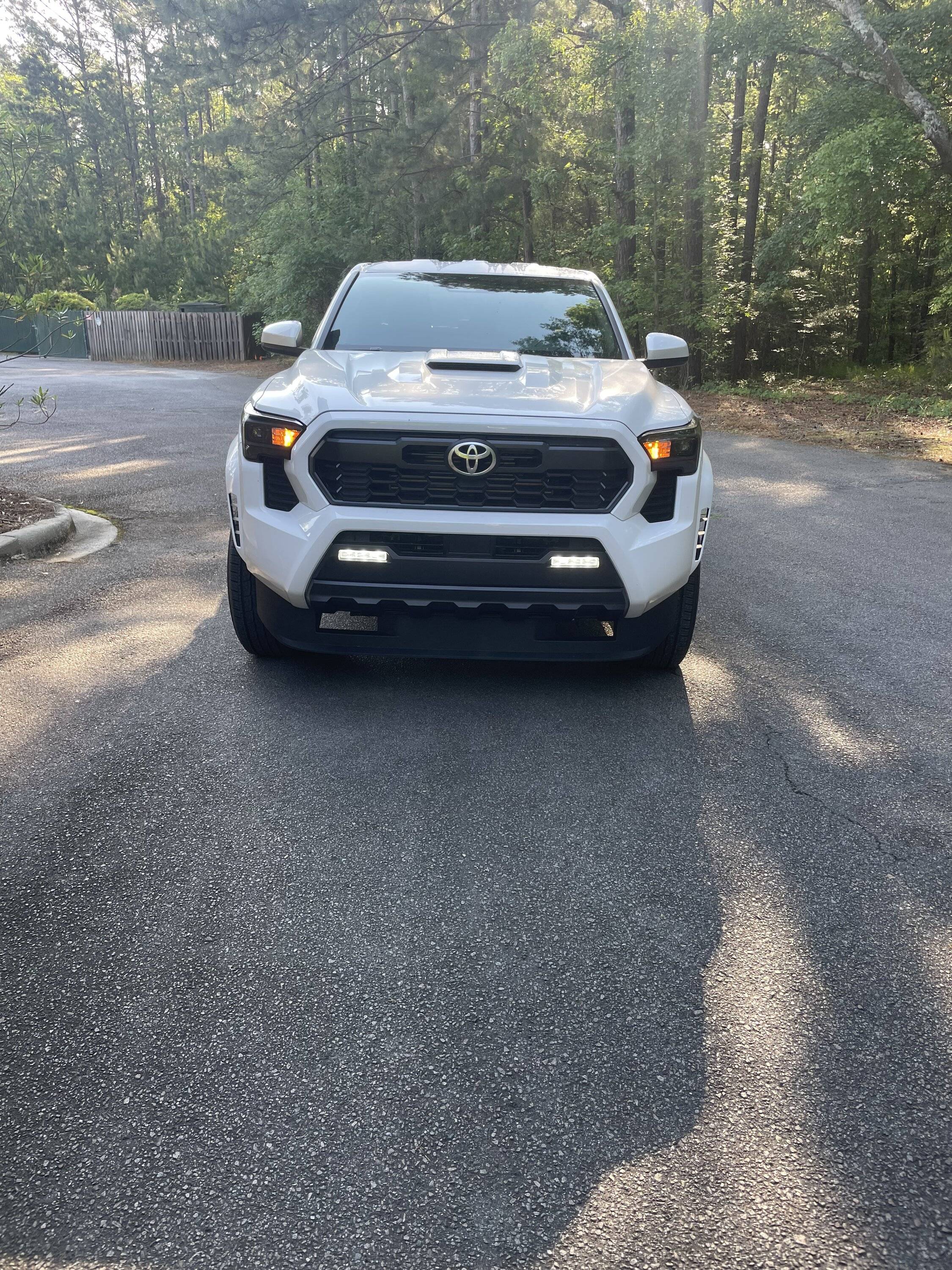 2024 Tacoma Random 2024 Tacoma 4th Gen Photos of the Day - Post Yours! 📸 🤳 IMG_6810