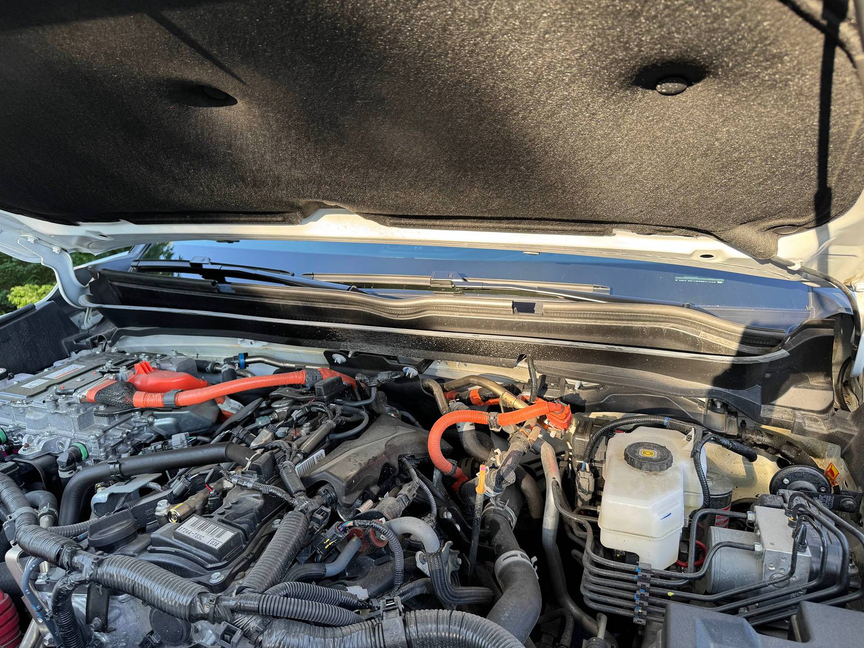 2024 Tacoma Hood Vibrating Fix! (Weather Stripping / Rubber Trim Seal) IMG_6903