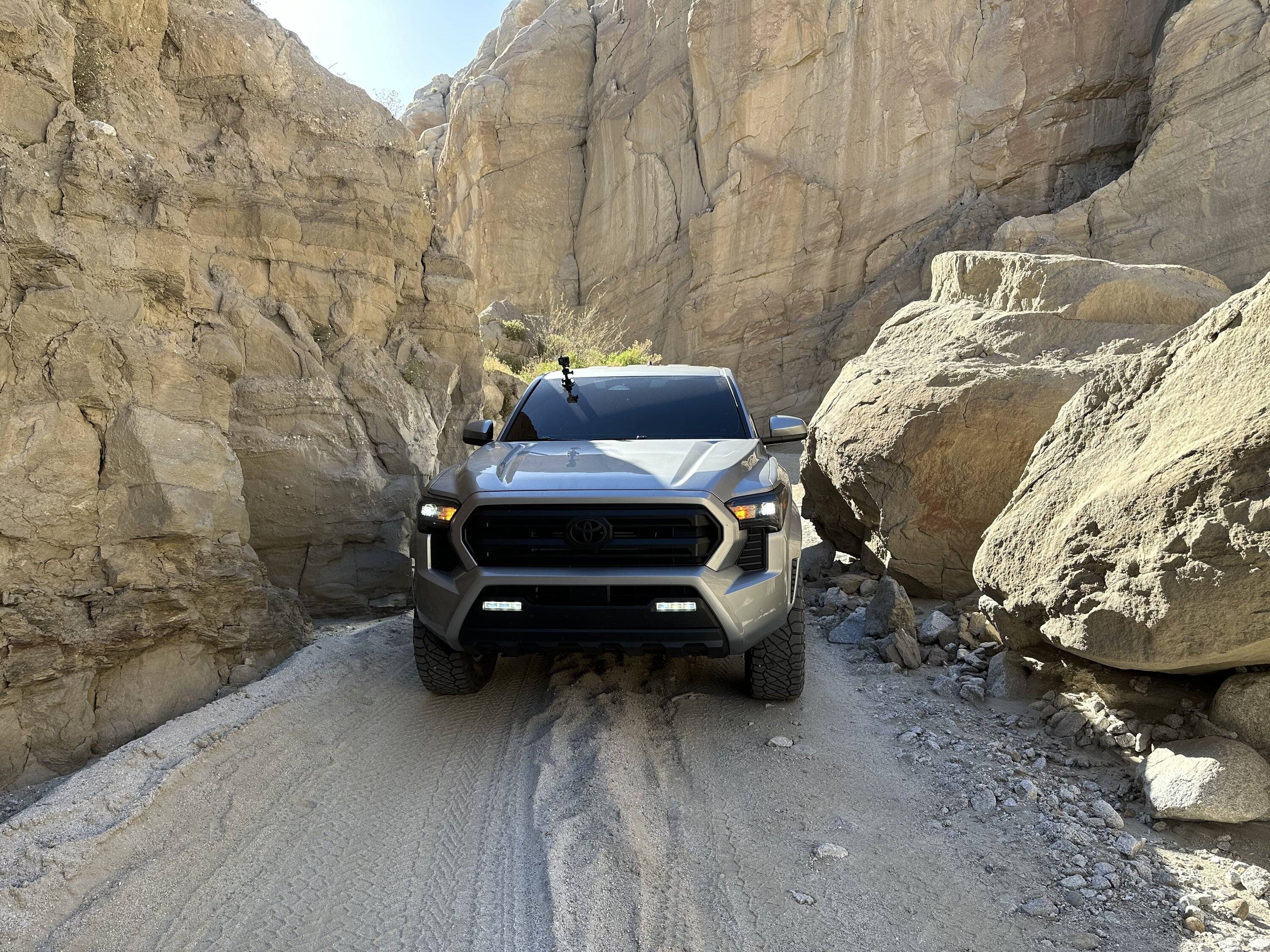 2024 Tacoma Where are the 4th gen tacoma's in So Cal? IMG_8536
