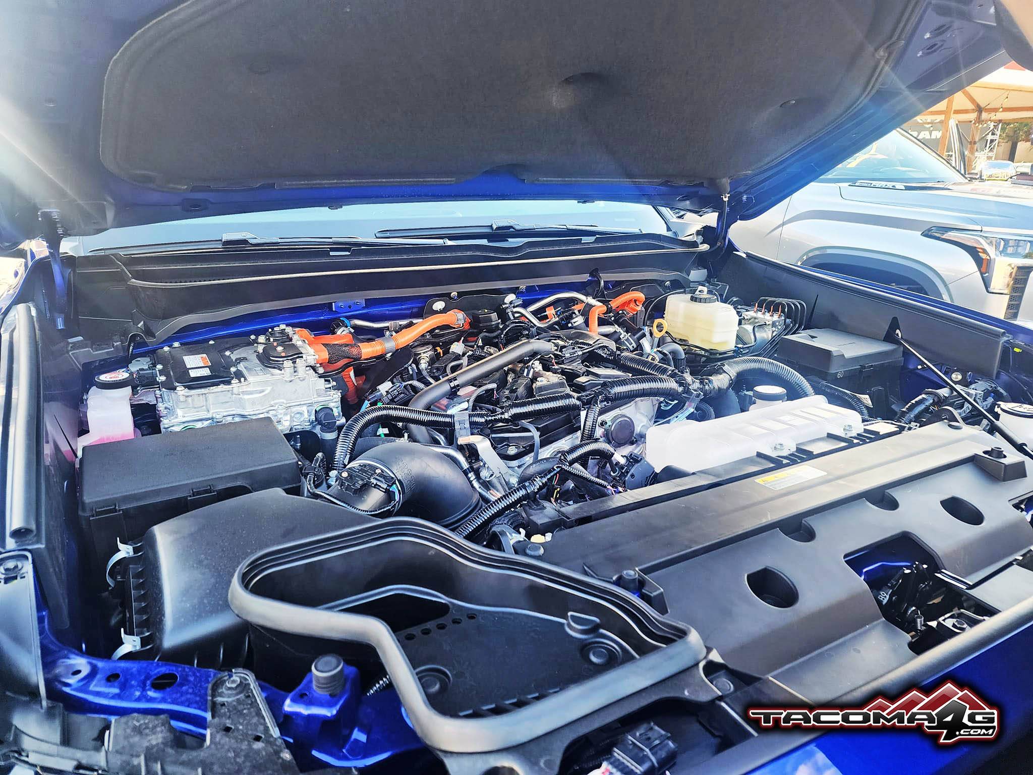 2024 Tacoma BLUE CRUSH 2024 Tacoma Thread (4th Gen) llic-2024-tacoma-toyota-color-paint-engine-bed-