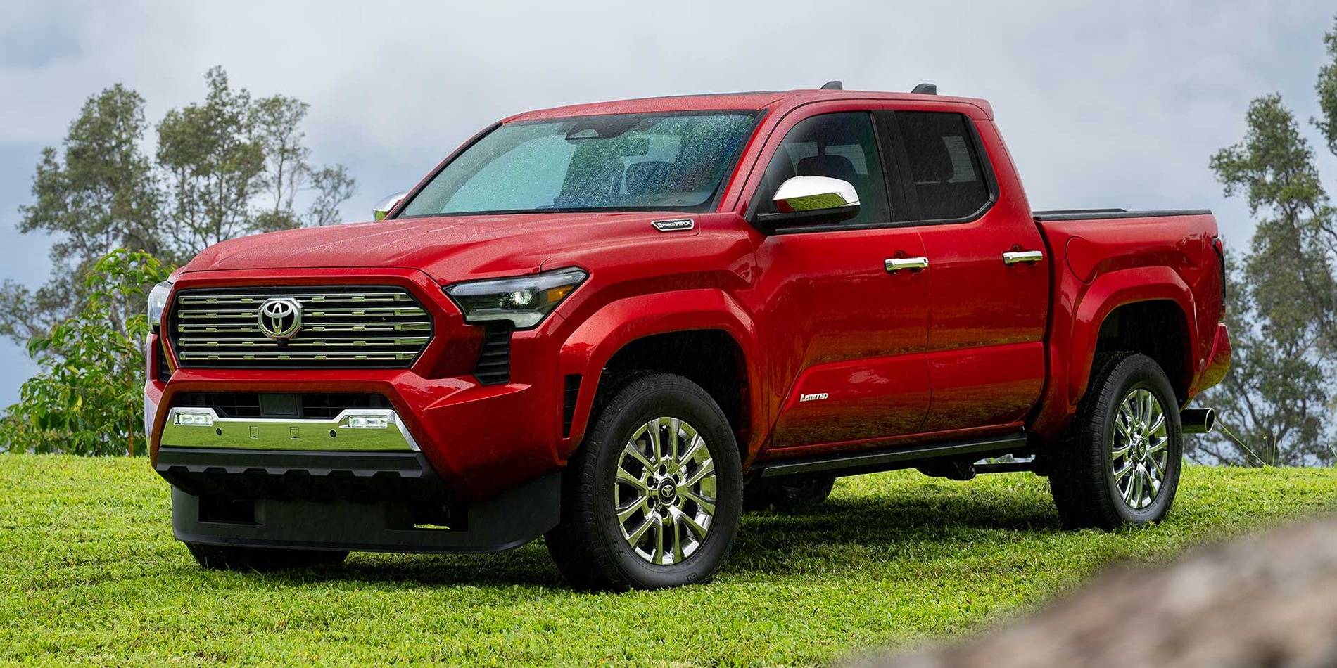 My taco.jpg