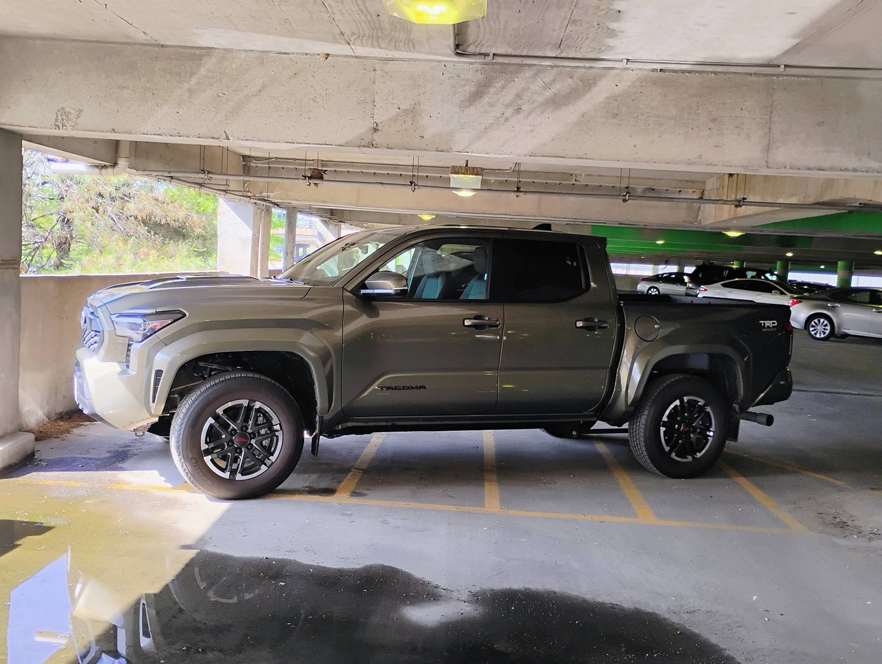 My Taco.jpg