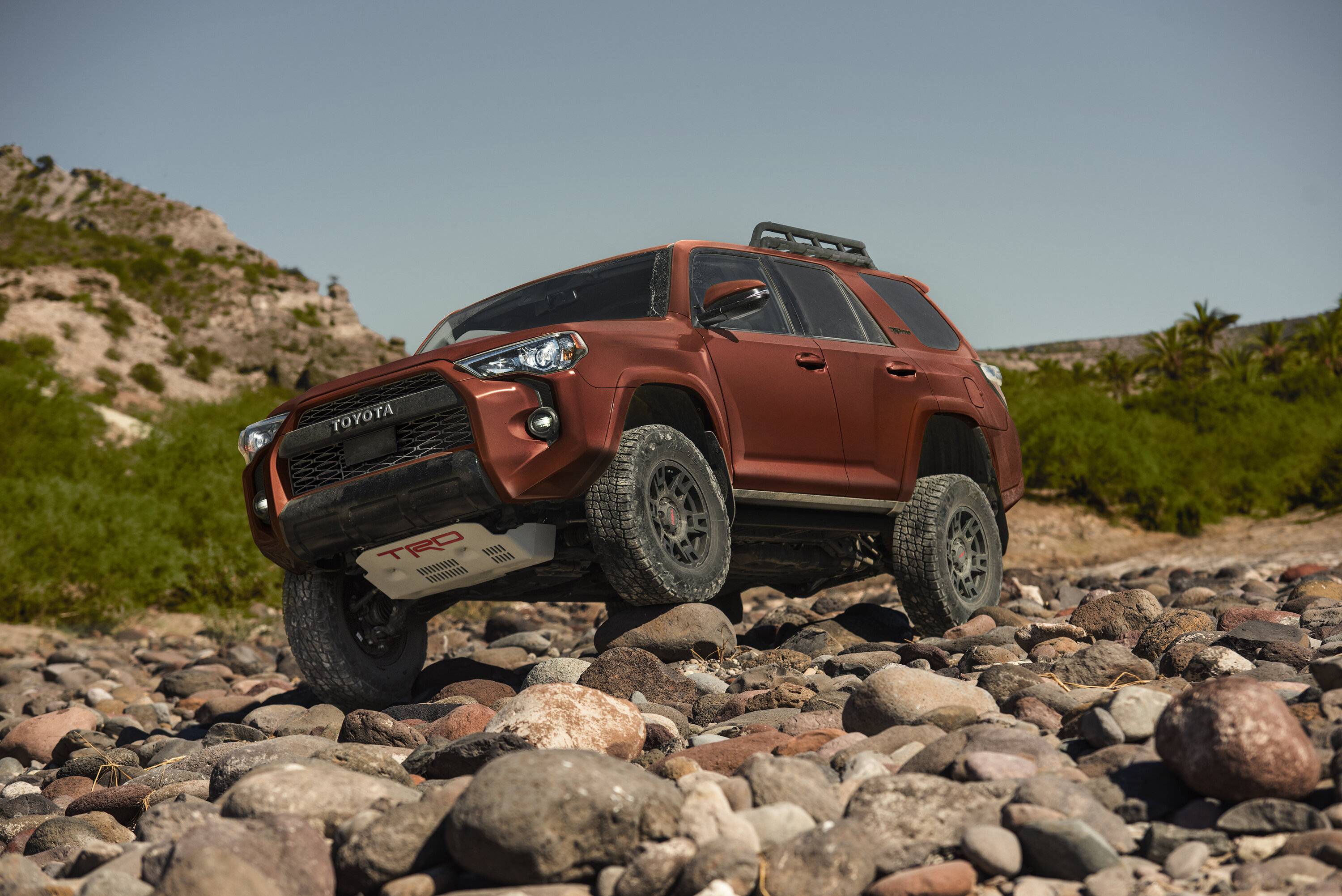 2024 Tacoma Official TERRA 2024 Tacoma Thread (4th Gen) terra-4runner-trd-pro-