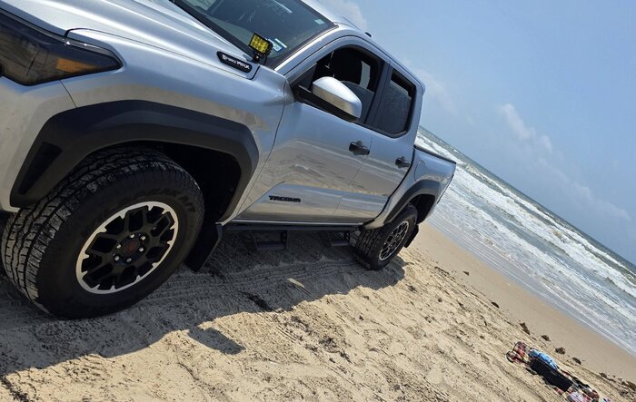 Beach Excursion