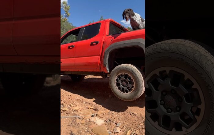 Video: Testing the locker (diff) on 2024 Tacoma TRD Off-Road -- 4LO and locker engaged