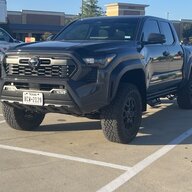 TacoSteve25