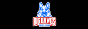 Big Dawgs Toyota Tuning Sidebanner 1
